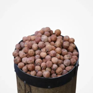 Yemeni Doum-250g - دوم يمني